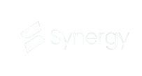 Synergy Logo
